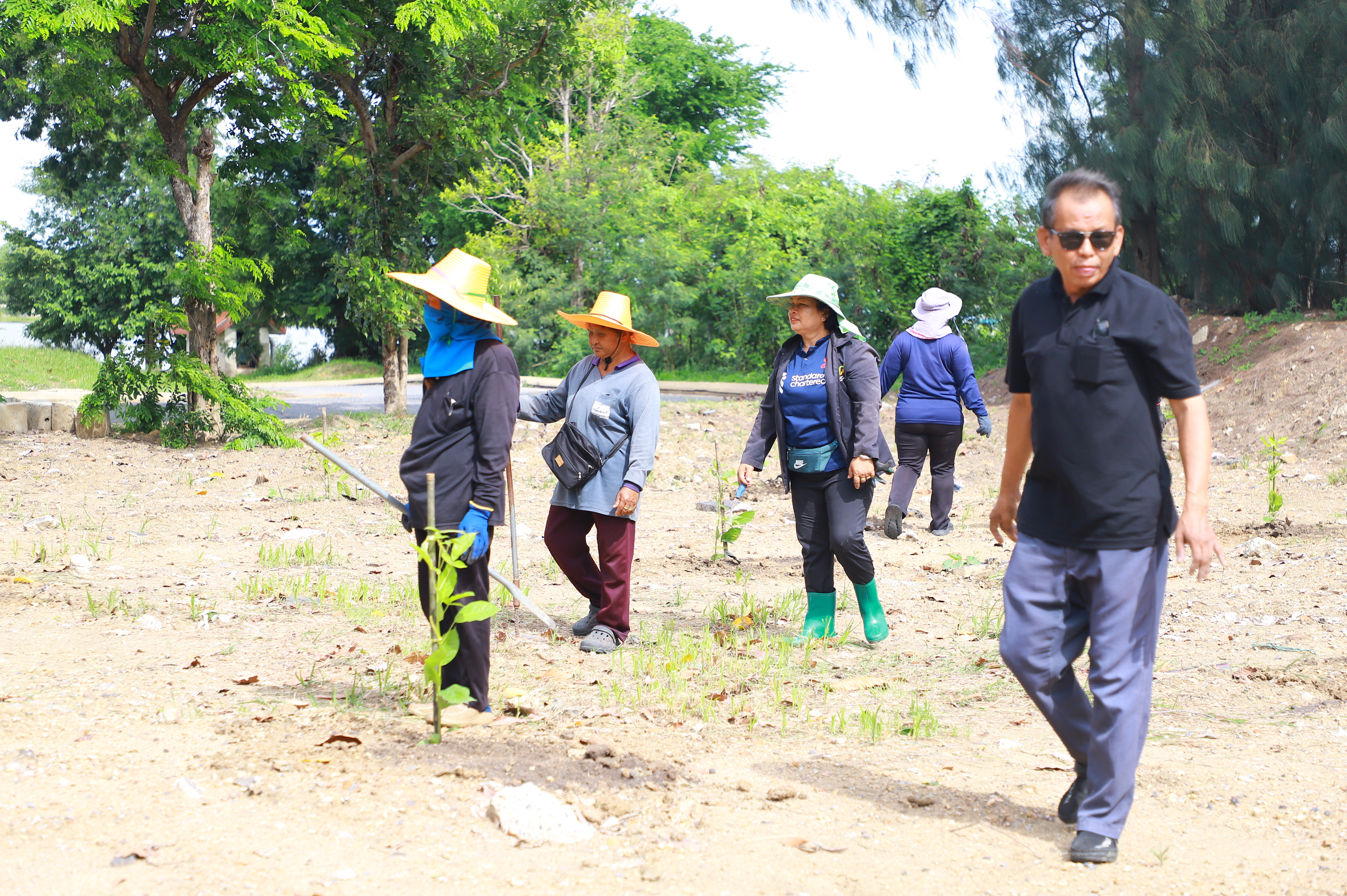 title - ส.ป.ก. - depa ร่วมใจปลูกต้นไม้ ภายใต้กิจกรรม CSR ปลูกต้นไม้ (Grow Green) เพิ่มพื้นที่สีเขียว ลด CO2 ณ ศูนย์ส่งเสริมและพัฒนาอาชีพเสริมนอกภาคการเกษตร